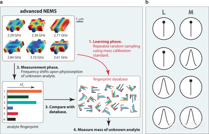 突破NEMS质谱：指纹法赋能复杂设备测量!