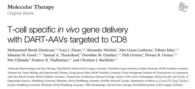 突破性研究：靶向T细胞的基因疗法新进展