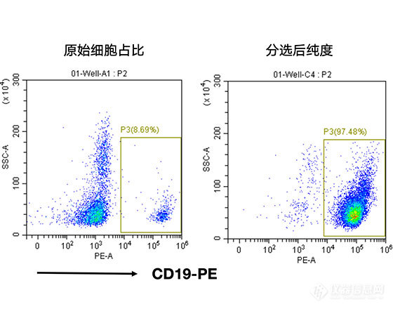 人CD19+细胞分选试剂盒（科研级）