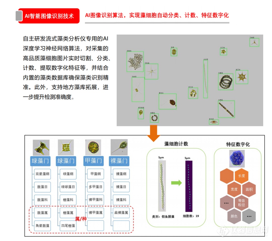 谱康医学 | 流式成像技术助力浮游植物（藻类）检测进入新时代