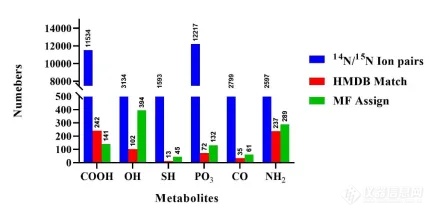 同位素标记探针突破基质干扰，提升亚代谢组分析的准确性|基础医学研究所李智立团队新成果