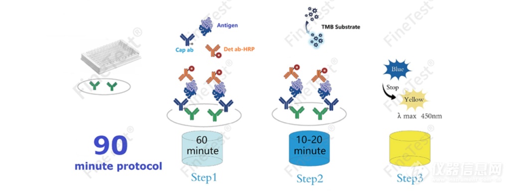 90分钟快速检测ELISA试剂盒