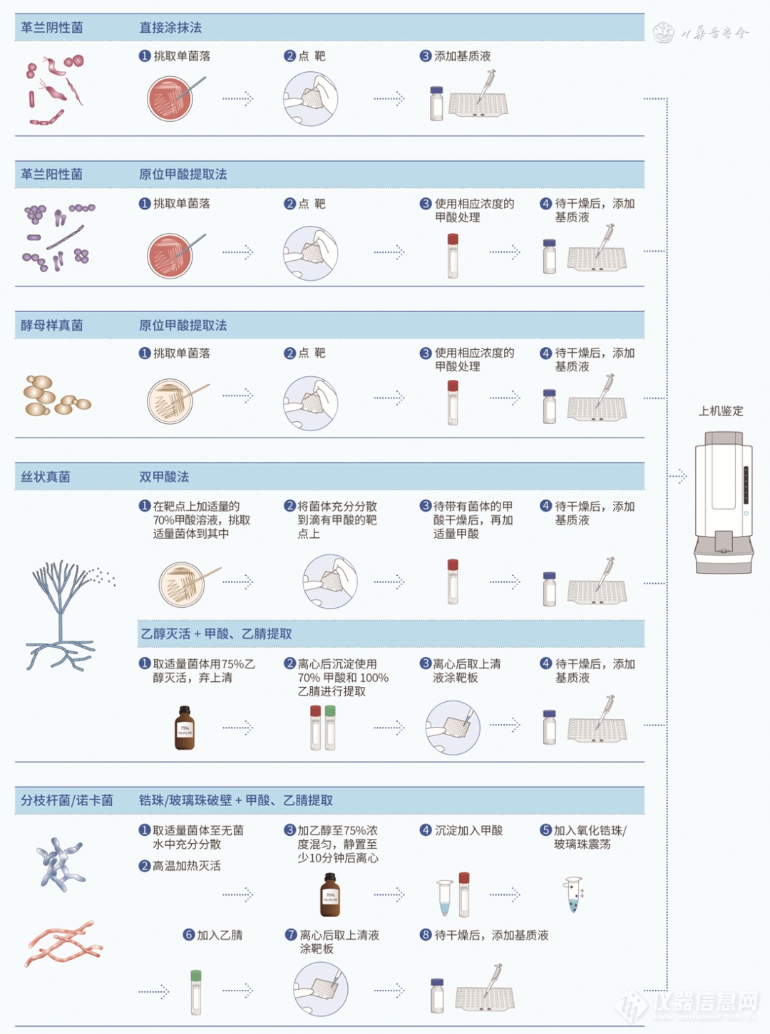 一谱识菌： MALDI-TOF MS 在病原微生物临床应用的专家共识