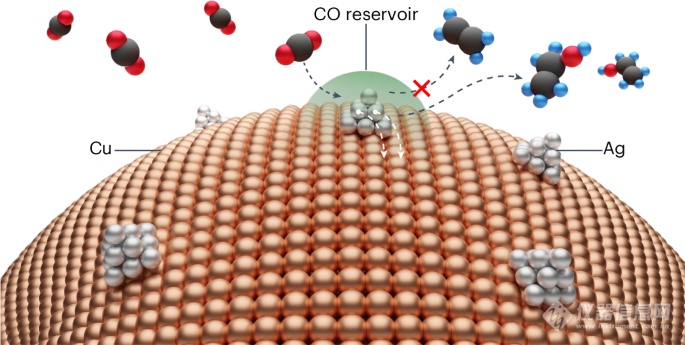 多伦多大学团队揭示Cu-Ag复合催化剂电催化CO2还原新机制！