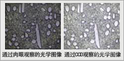 广西科学仪器