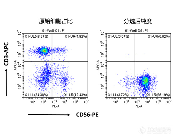 从人PBMC中分离NK细胞