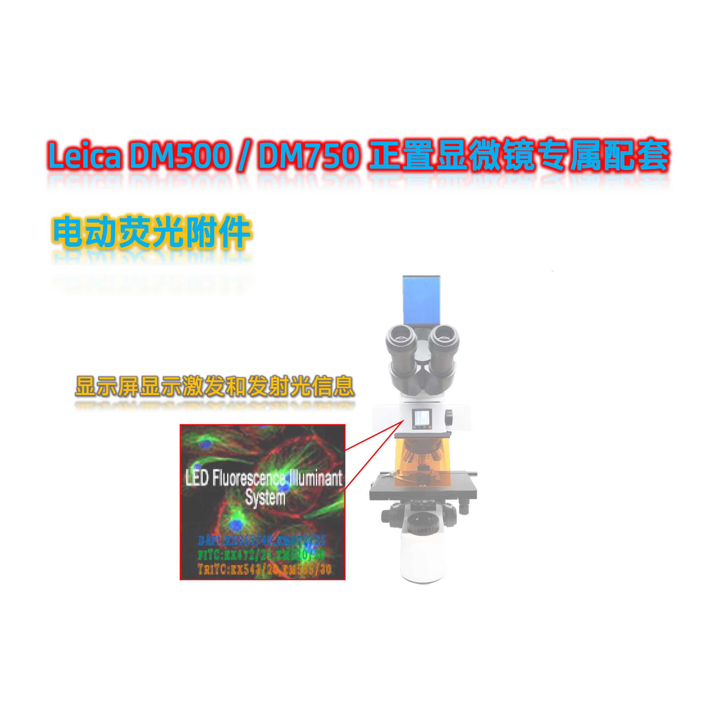 DM750显微镜荧光模块光源附件DM7-UVBGY-E