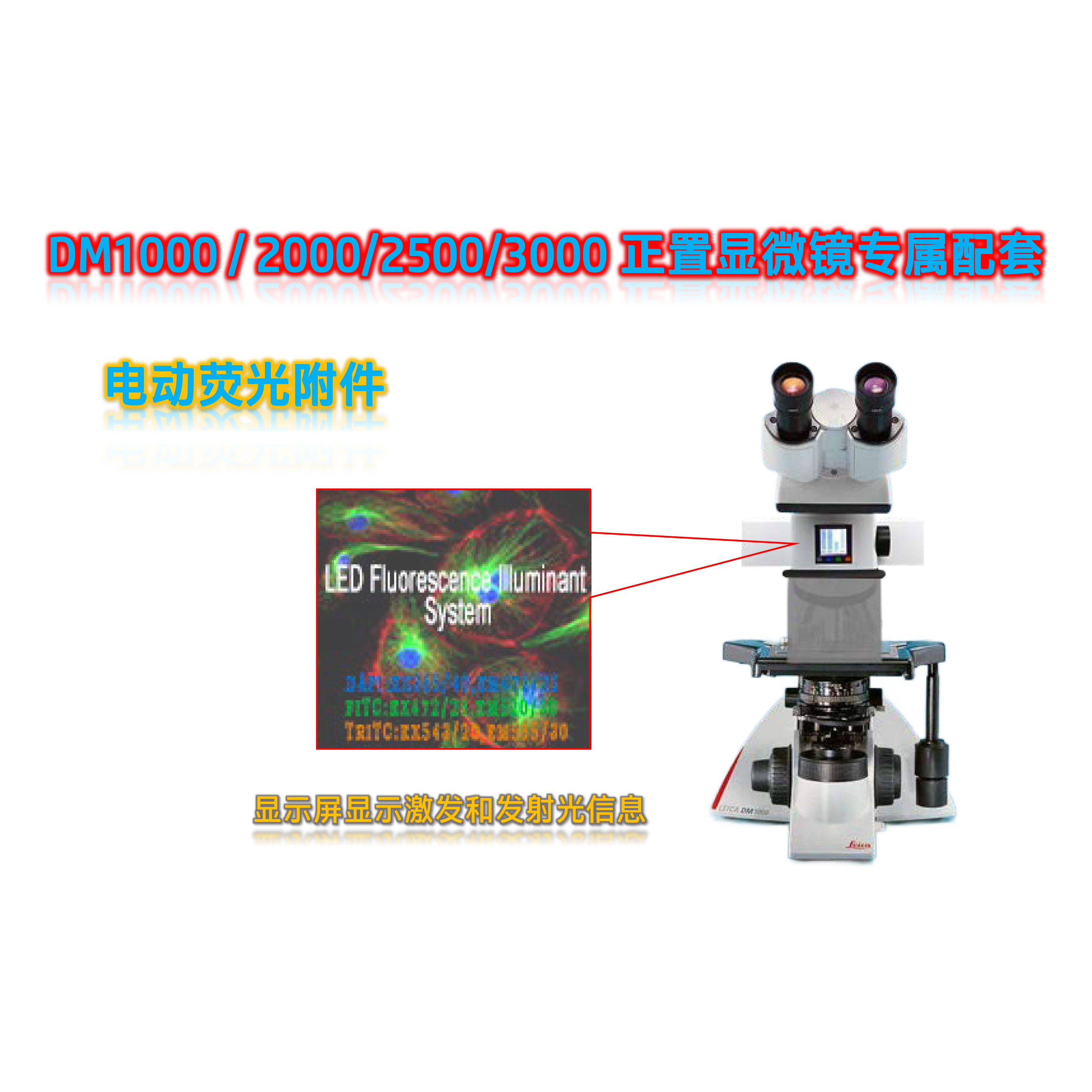 显微镜DM2500用荧光光源附件DM2500-UVBGY-E