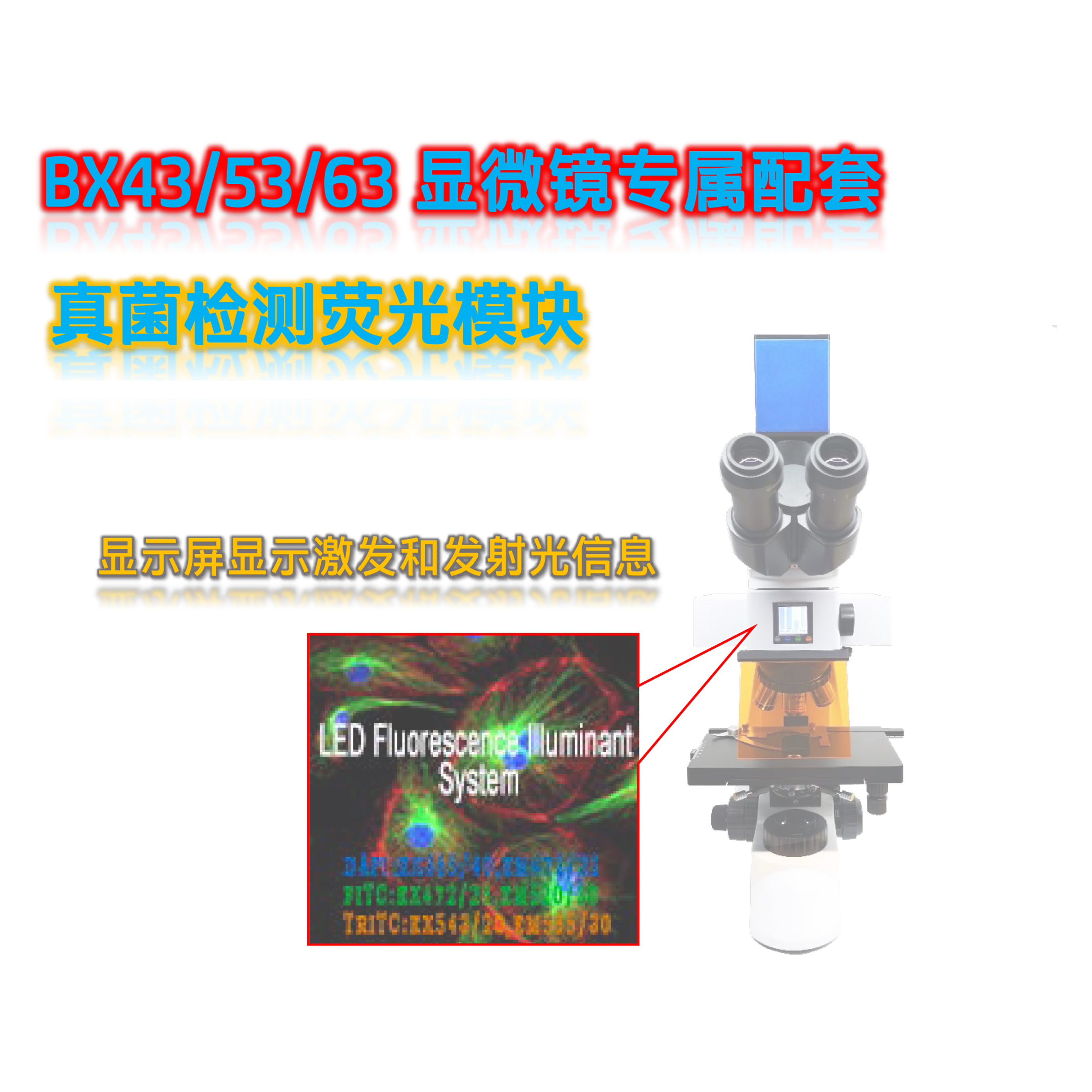 BX43显微镜升级LED荧光附件光源模块BX-B-E