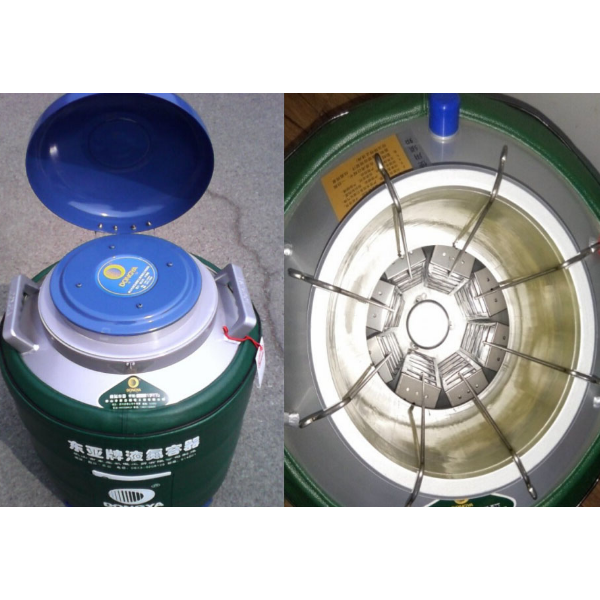 东亚牌大口径液氮罐YDS-35-125F提篮方提筒型