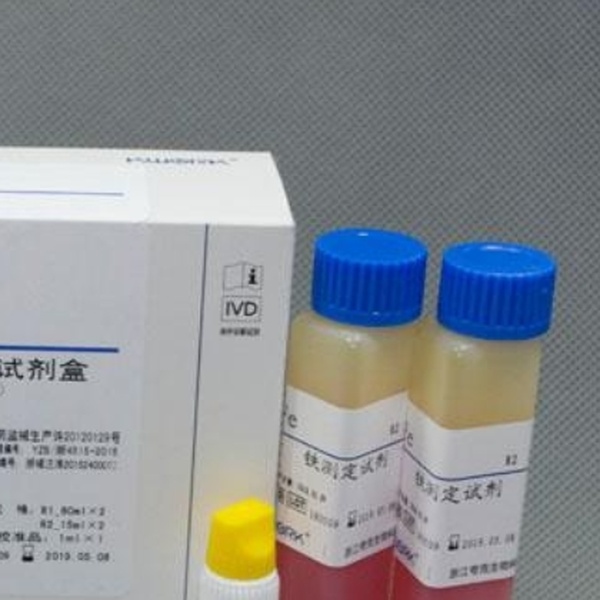 人乳头瘤病毒探针法荧光定量PCR试剂盒