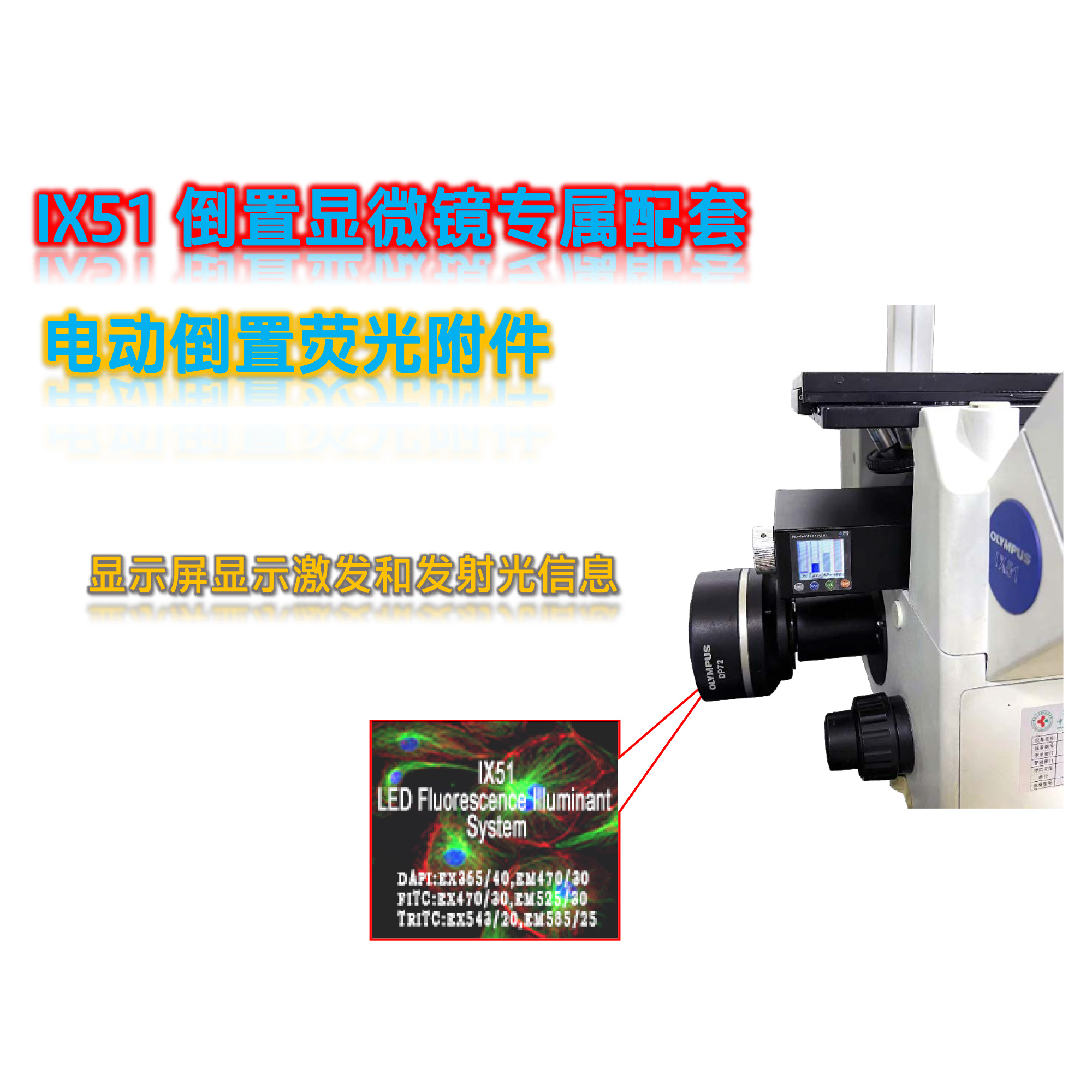 倒置显微镜IX71用荧光附件光源IX2-UVBG-E