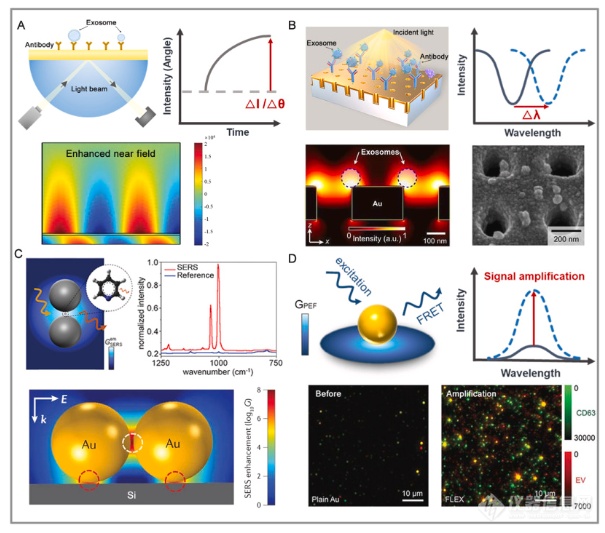 SPR前沿|厦大朱锦锋教授团队综述：等离激元外泌体传感检测进展-器件集成策略与人工智能辅助诊断