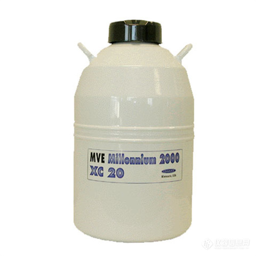 millennium 2000xc20.jpg