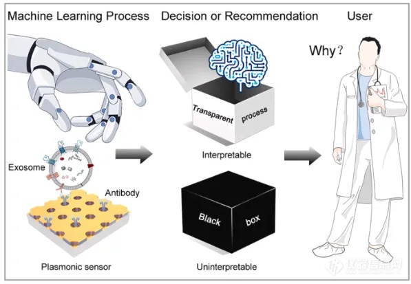SPR前沿|厦大朱锦锋教授团队综述：等离激元外泌体传感检测进展-器件集成策略与人工智能辅助诊断