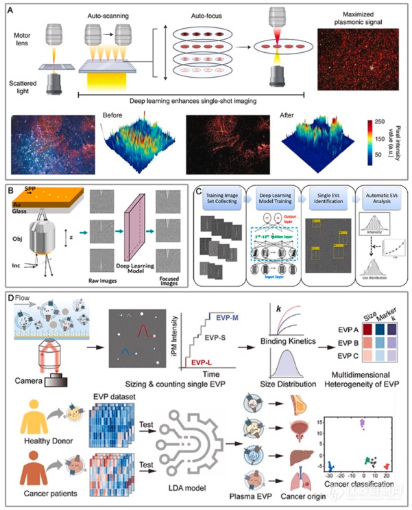 SPR前沿|厦大朱锦锋教授团队综述：等离激元外泌体传感检测进展-器件集成策略与人工智能辅助诊断