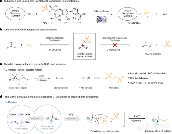 新型C-O硫酸化方法拓宽药物开发路径！