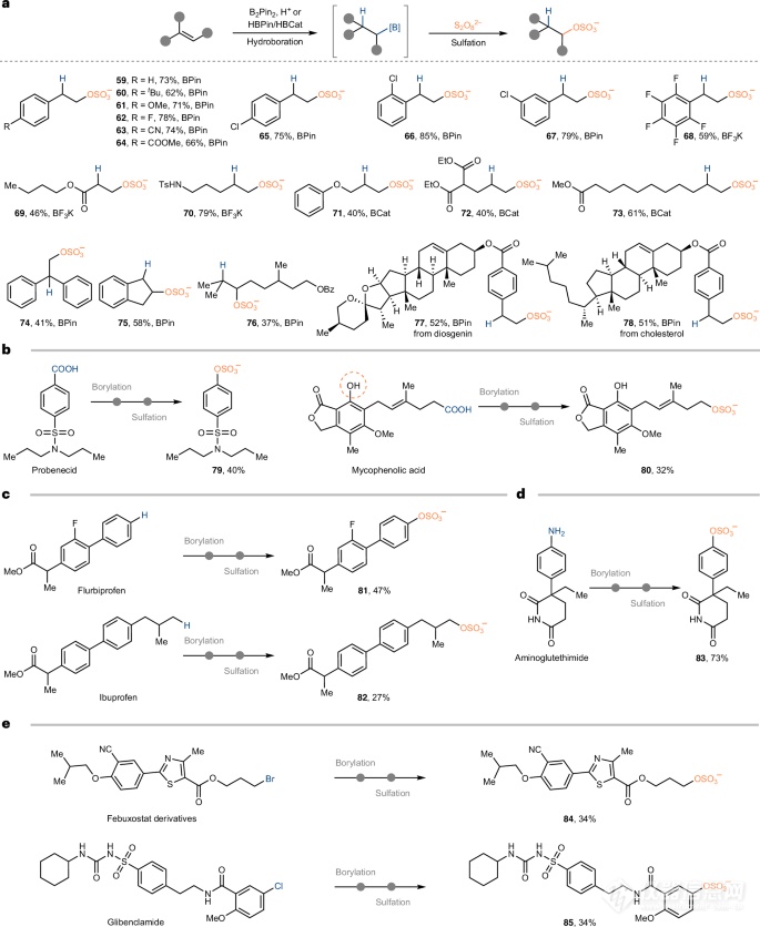 新型C-O硫酸化方法拓宽药物开发路径！
