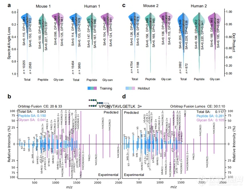 Nature新成果|基于深度学习的糖肽碎片质谱预测