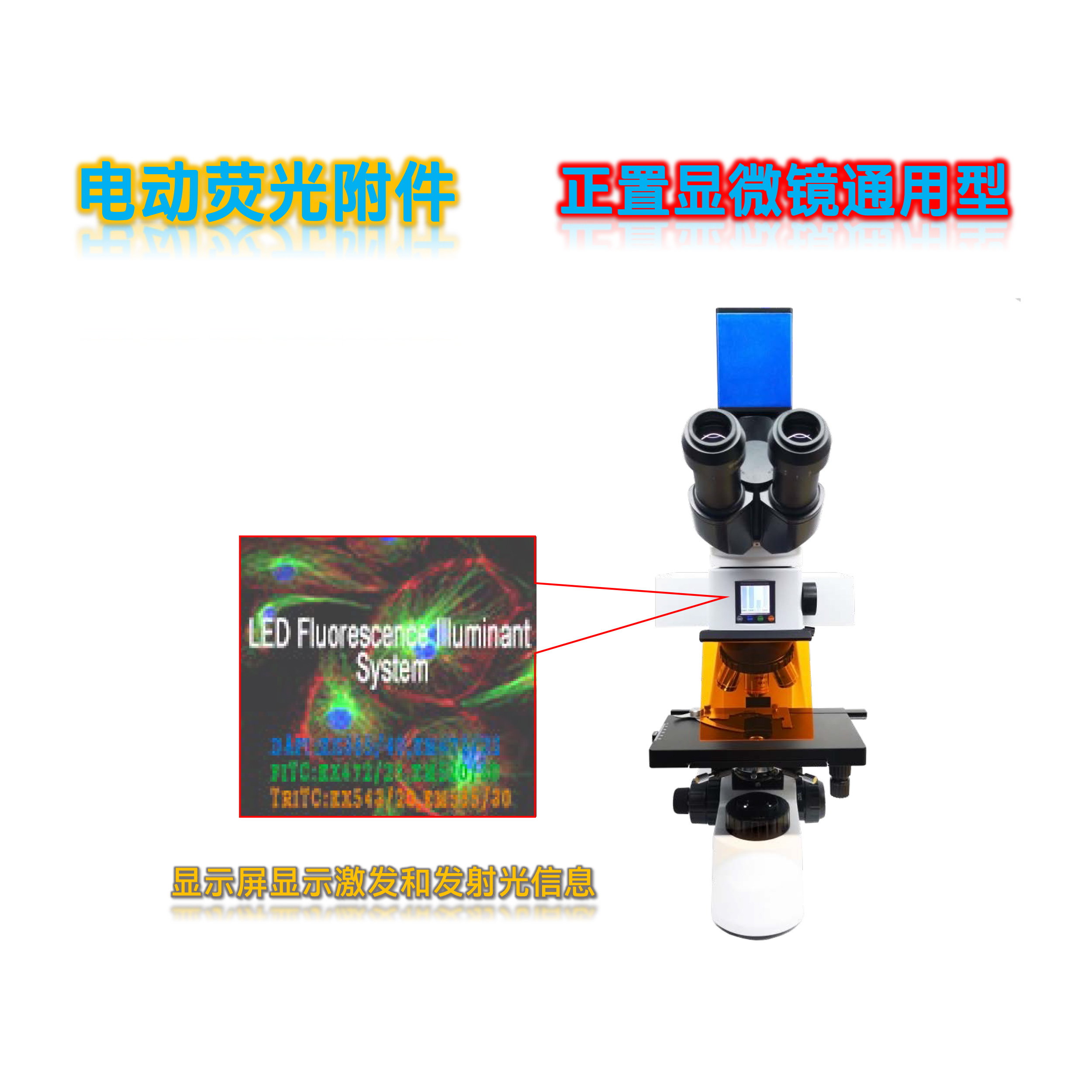 正置显微镜通用型荧光光源模块FL-UVBGY-E