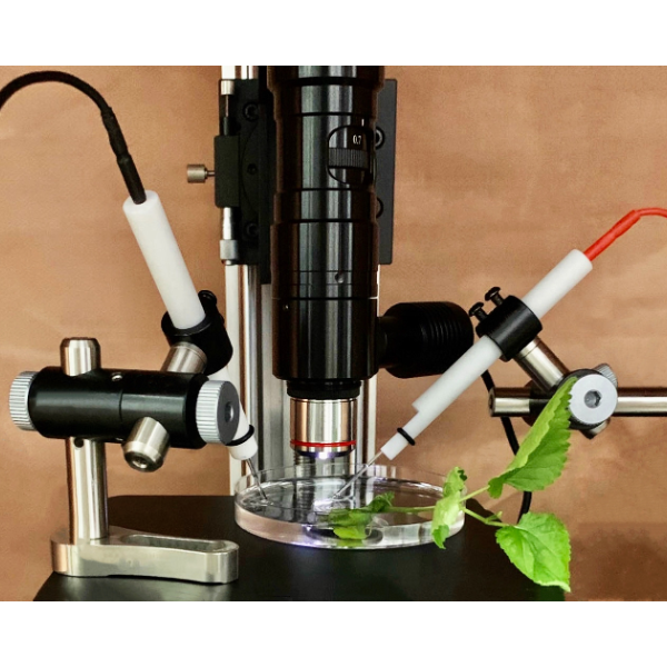 植物根系离子/分子吸收监测仪