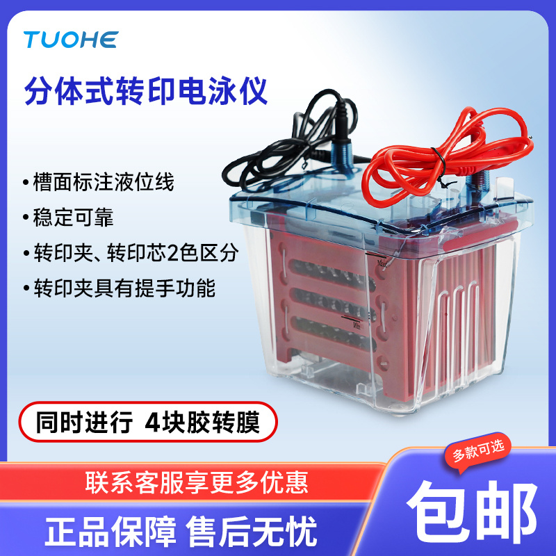 分体式转印电泳仪