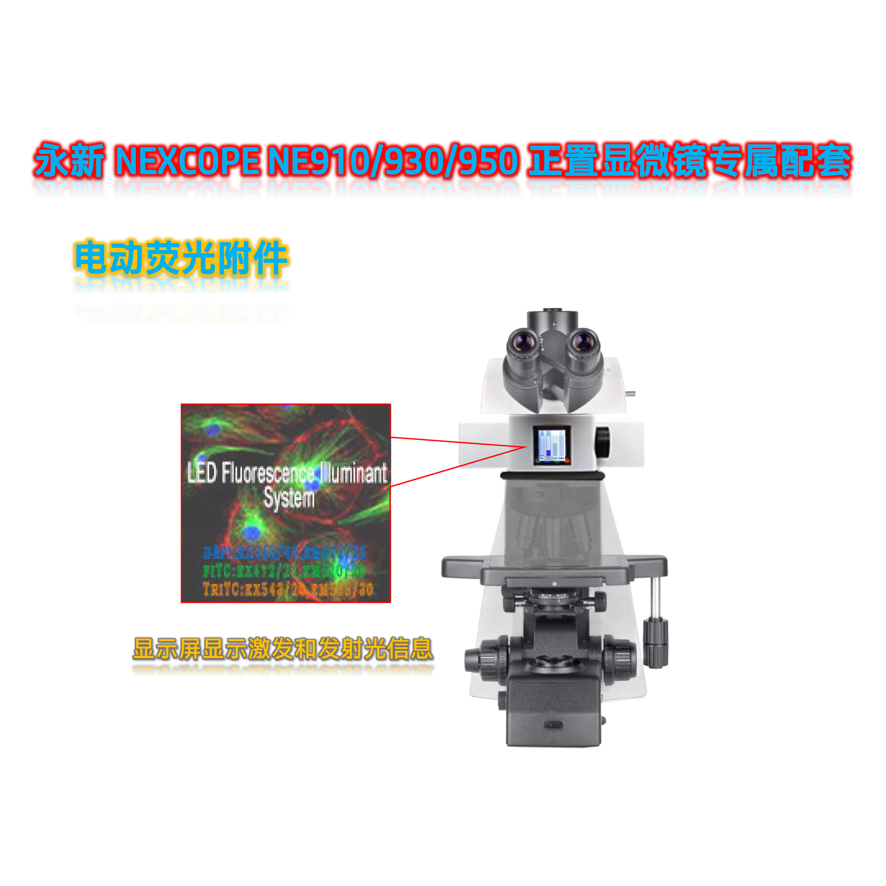 NE910显微镜用荧光模块光源附件NE-UVBGY-E