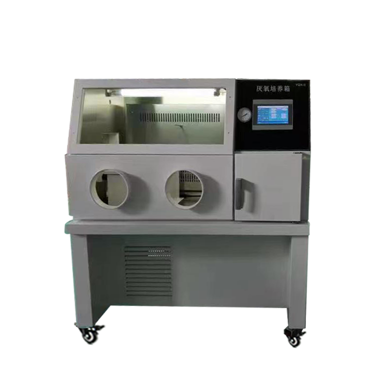 川宏仪器厌氧培养箱YQX-IIII