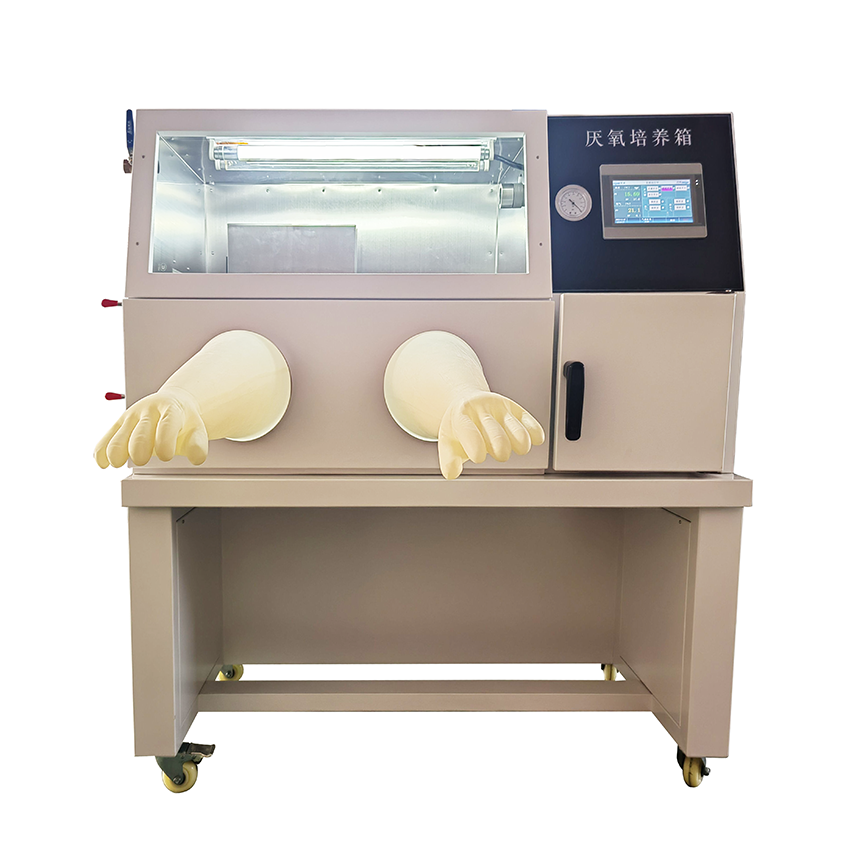 川宏仪器厌氧培养箱YQX-IIII
