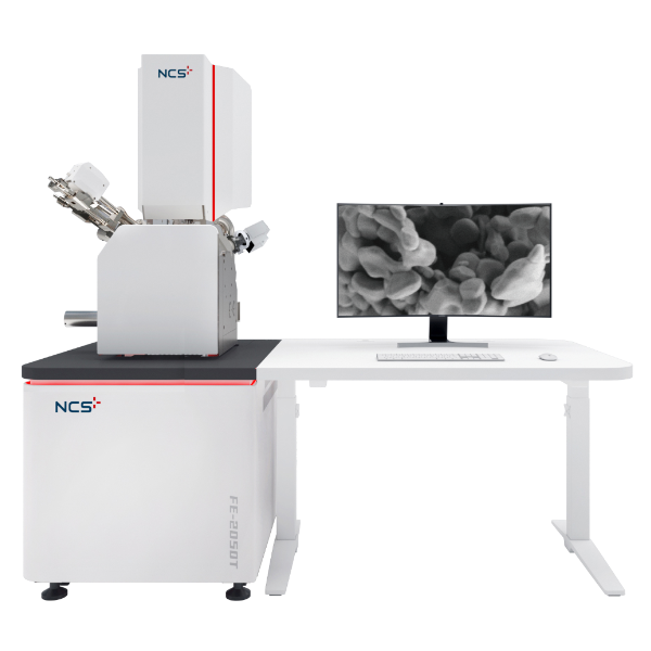 钢研纳克低电压超高分辨场发射扫描电镜SEM FE-2050T