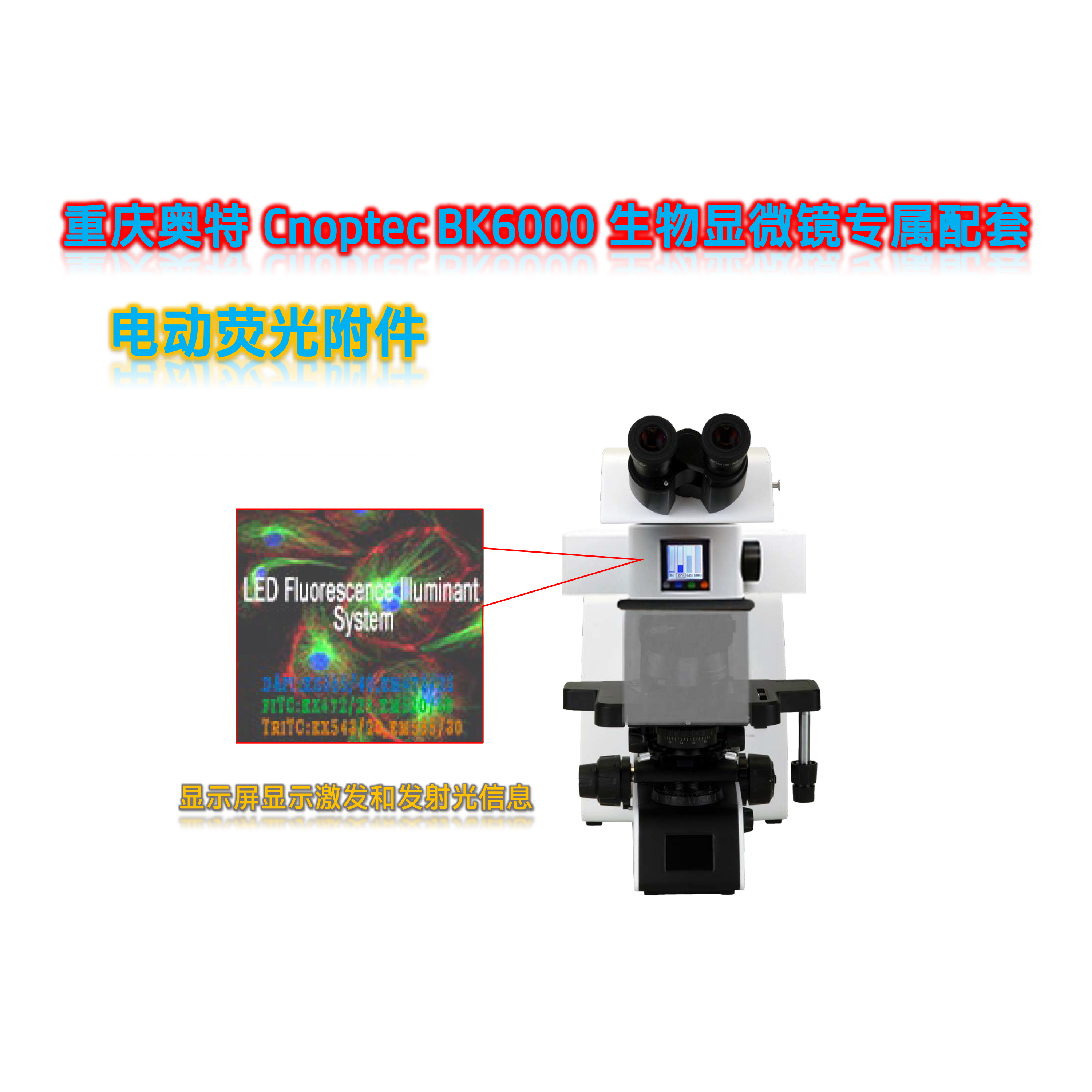 奥特BK6000显微镜荧光光源附件BK-UVBGY-E