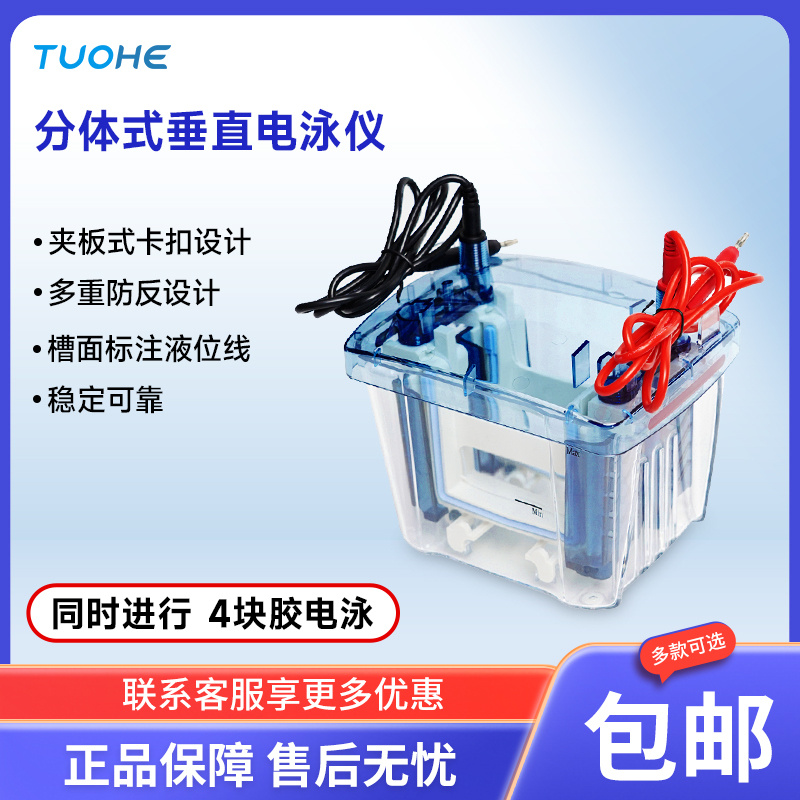 分体式垂直电泳仪
