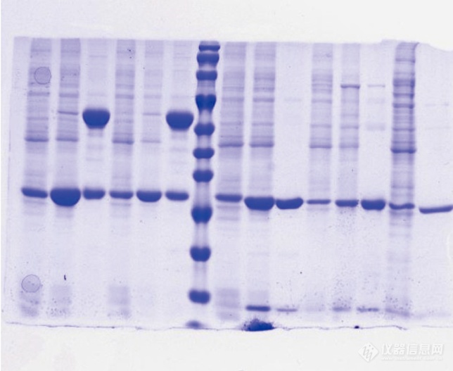 GenoSens S2一体式凝胶成像仪_参数_价格-仪器信息网