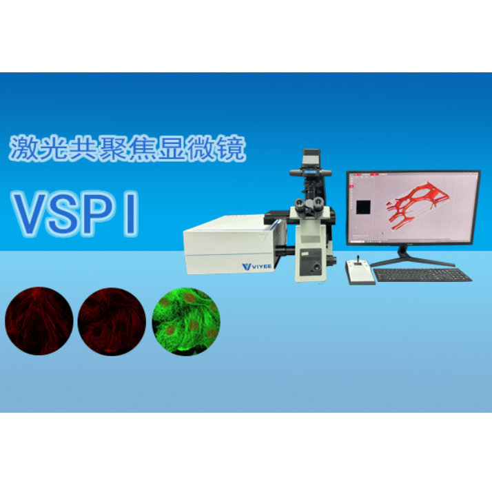微仪激光共聚焦显微镜VSPI