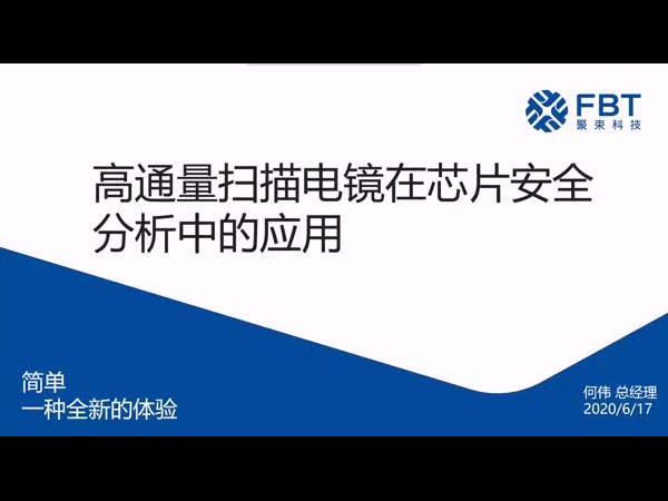 高通量扫描电子显微镜在芯片安全分析中的应用