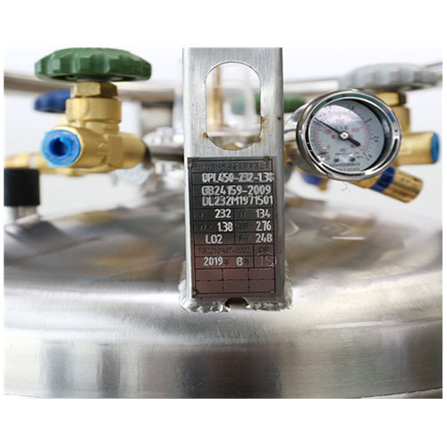 高压lng杜瓦瓶低温压力输出容器DPL450-100-2.88