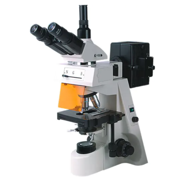 上海彼爱姆荧光显微镜BM-19AY