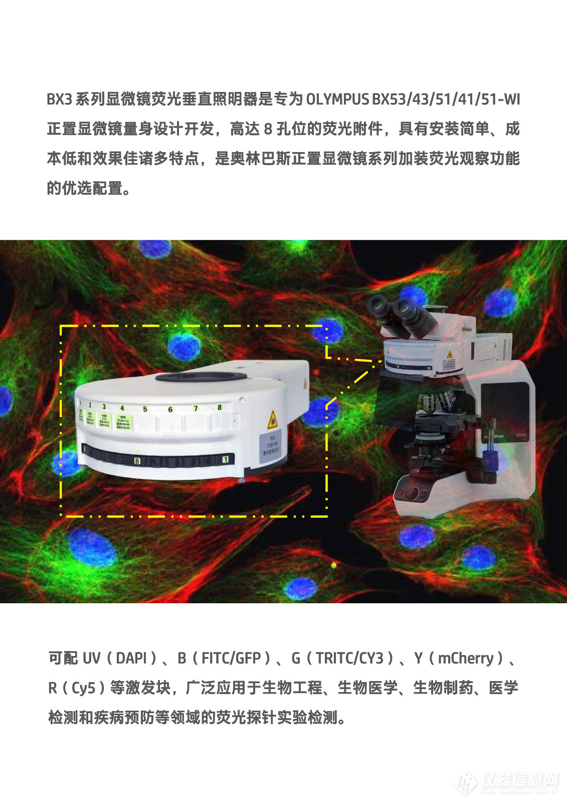 奥林巴斯正置显微镜荧光垂直照明器BX3-URA-CN (2).jpg
