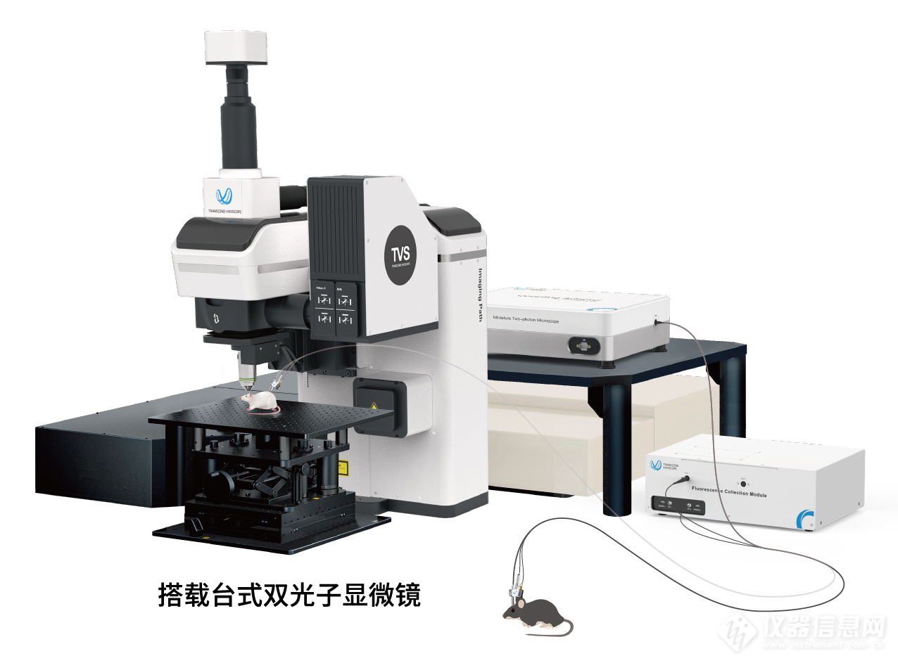 超维景 SUPERNOVA-SMART微型化双光子显微镜(mTPM)_报价 - 北京超维景生物科技有限公司