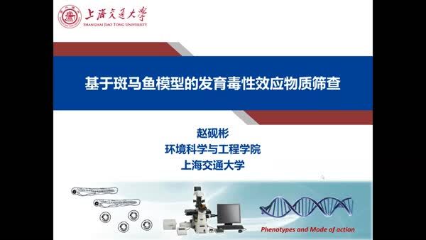 基于斑马鱼模型的胚胎发育毒性效应物质高通量筛查