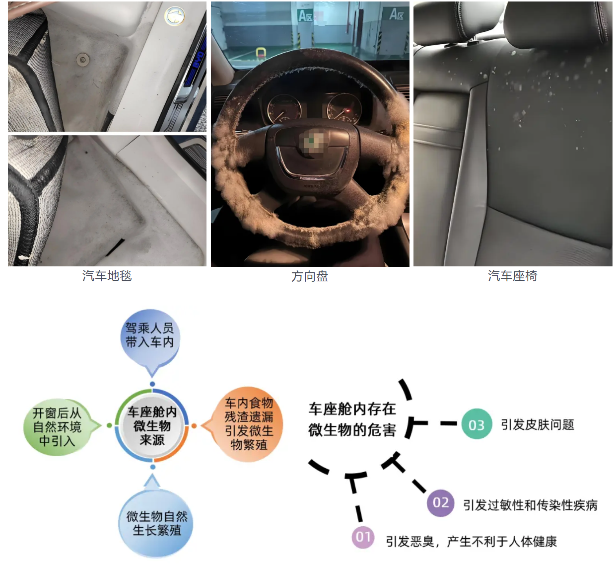 检测课堂丨汽车内饰微生物检测——守护健康出行