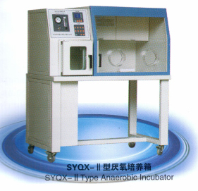 厌氧培养箱