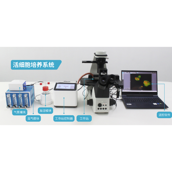 徕科光学活细胞培养工作站