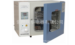 电热恒温鼓风干燥箱