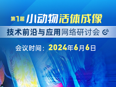 iCEM 2019