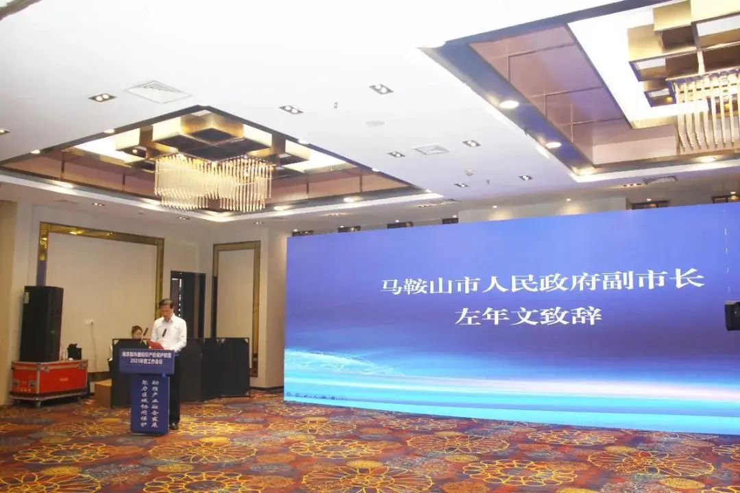 马鞍山市人民政府副市长左年文.jpg