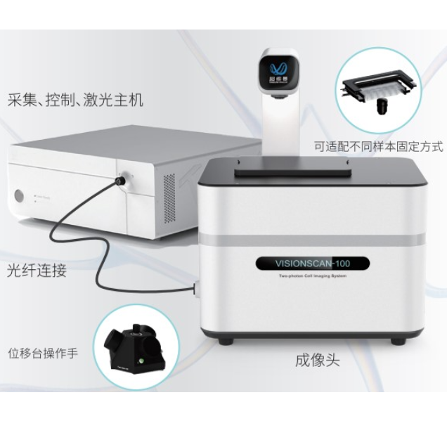 VISIONSCAN-100 倒置双光子显微镜
