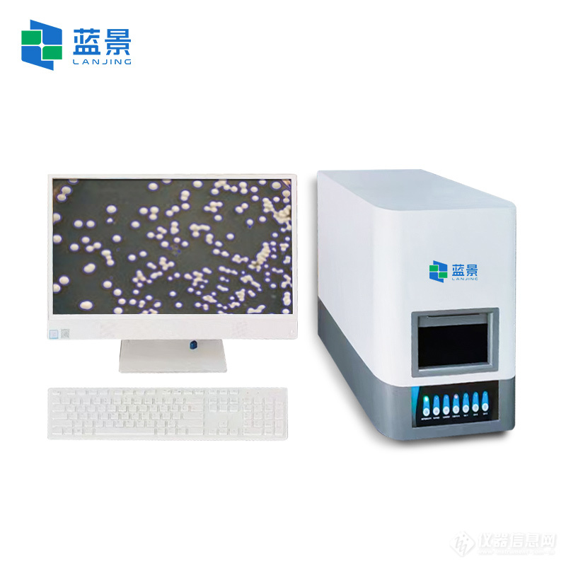 白底3.jpg