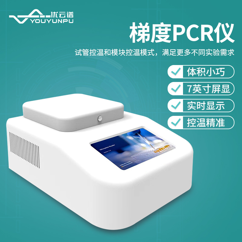 梯度PCR仪 YP-T96基因扩增仪