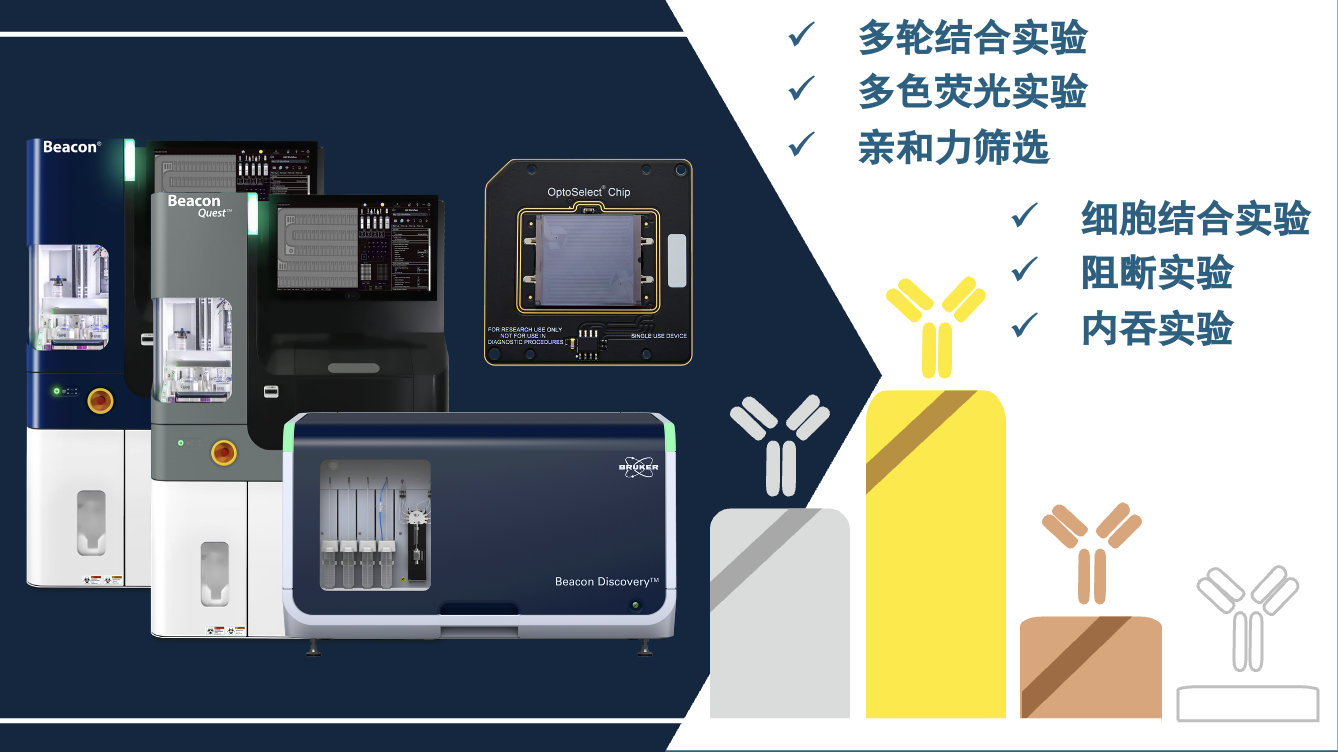 干货来袭！Beacon平台抗体筛选的多样检测秘籍_布鲁克细胞分析（Bruker Cellular Analysis）